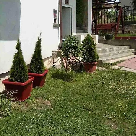 Vila Za Gosti Branko I Priyateli *